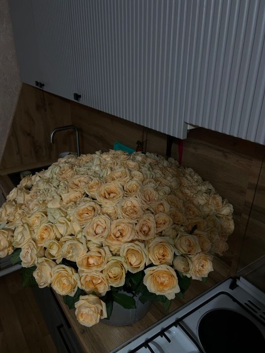 Цветы роза 201штук торг есть