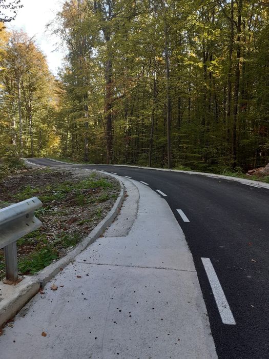 Teren intravilan si padure