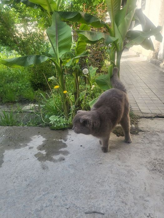 Onam jinsiy aloqa paytida ichkariga kirdi (seks video)