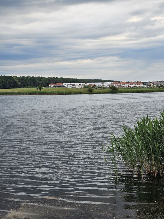 Vând teren amplasat   pe  malul lacului   Mogoșoaia