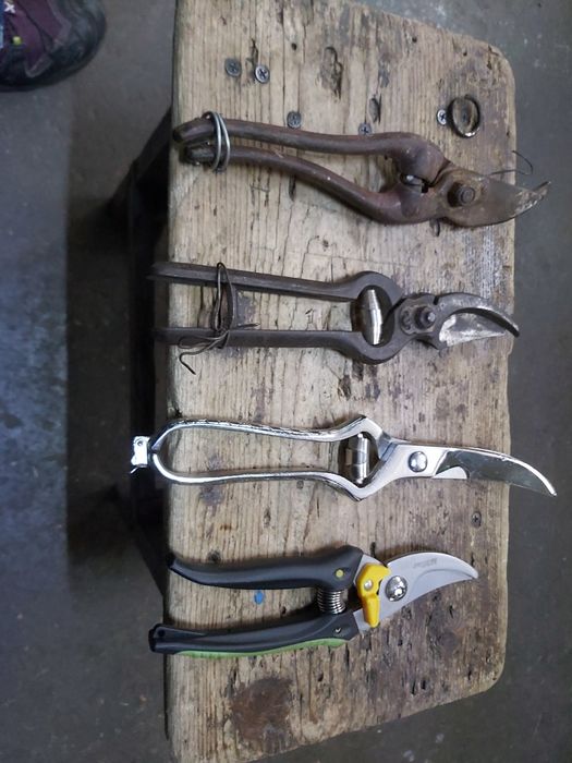 Foarfeci vie pomi  flori de colecție