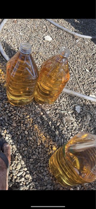 Vand must de calitate,prosus acasă,usor inasprit