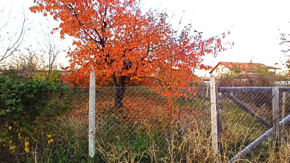 Teren Intravilan 900mp - Focsani, str Dionysos