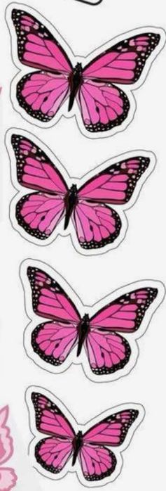 Printuri Comestibile/toppere comestibile