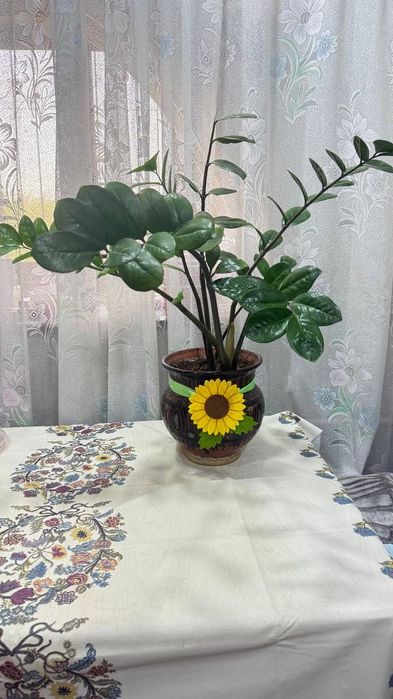 Продается цветок