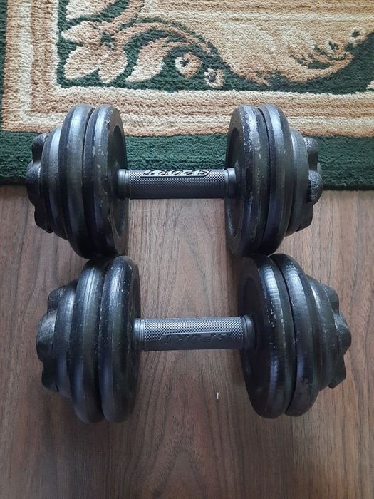 12 kg og'irlikdagi gantel