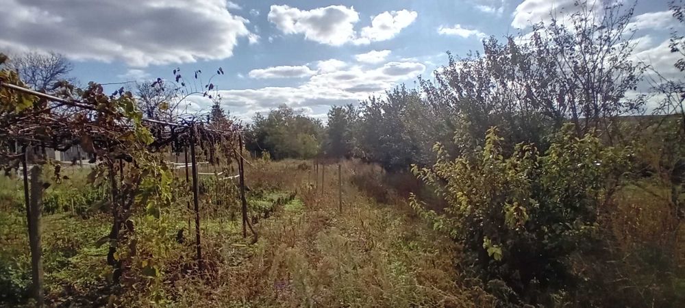 Продава се Къща в Добрич, Балик - 120 кв.м за 192 €/кв.м - Снимка #11