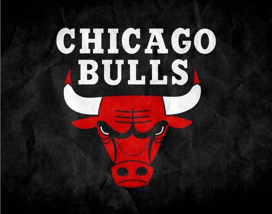 Мужской тапочка CHICAGO BULLS