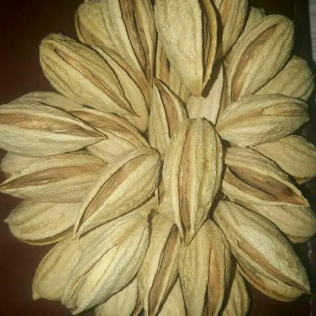 БОДОМ КУЧАТЛАРИНИ 9 хил сорти бор сортига падвойига кафолат берамиз