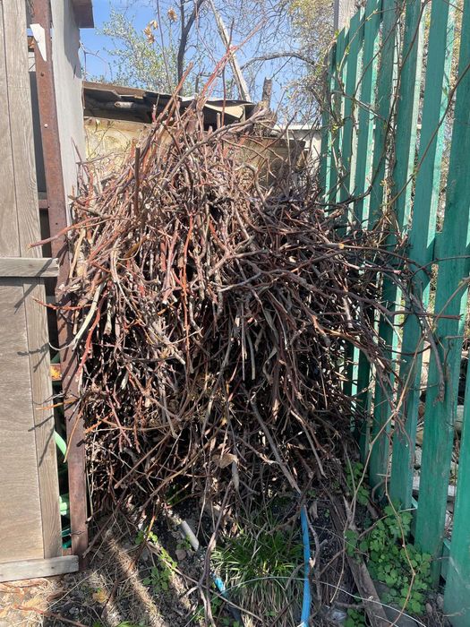 Отдам даром дрова ветви