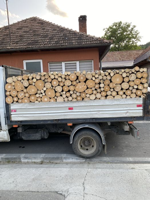 Vand lemne de foc fag