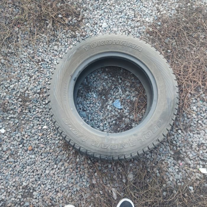 Продам шины срочно Микр Думан