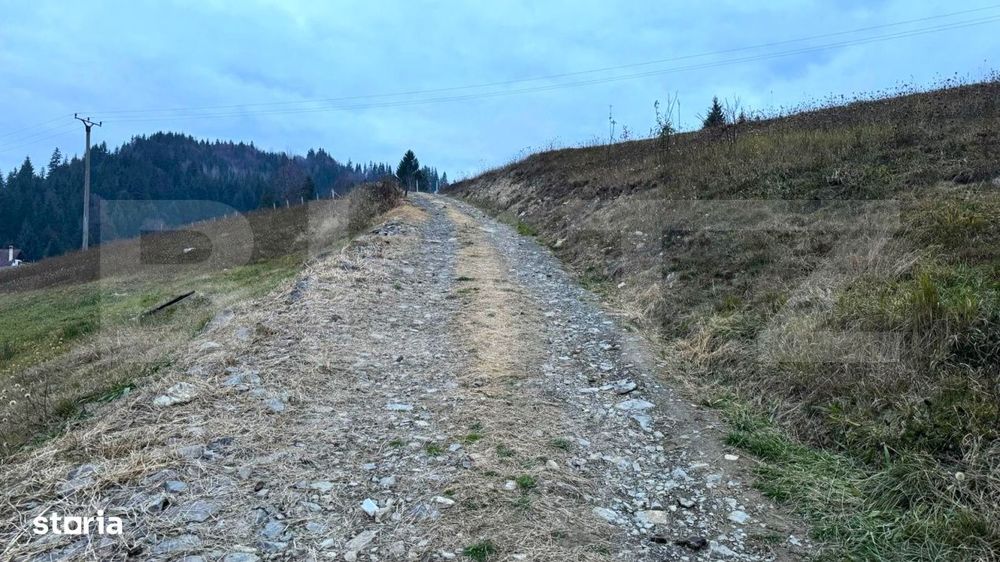 Vand 2500 Mp De Teren Intravilan La Colibita