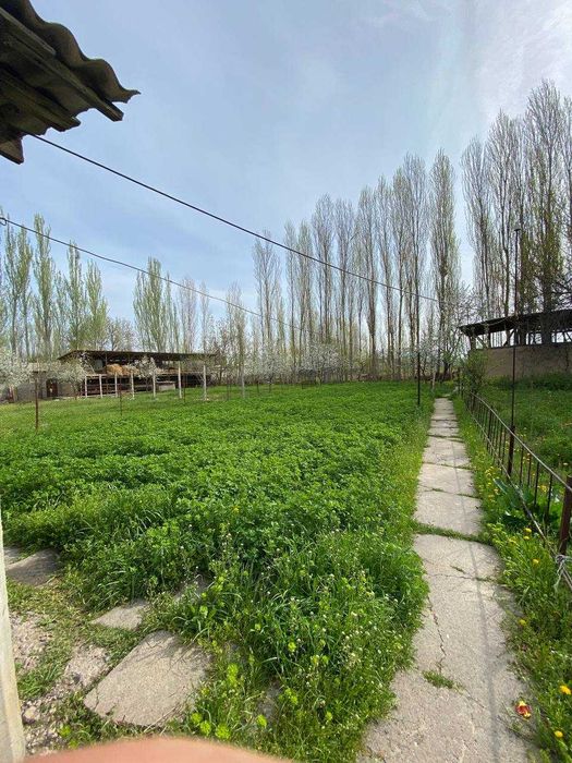 Uchastka sotiladi srochna