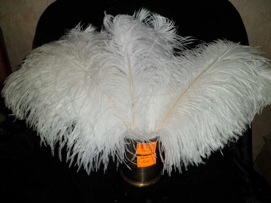 Перья Страуса белые, натурального окраса