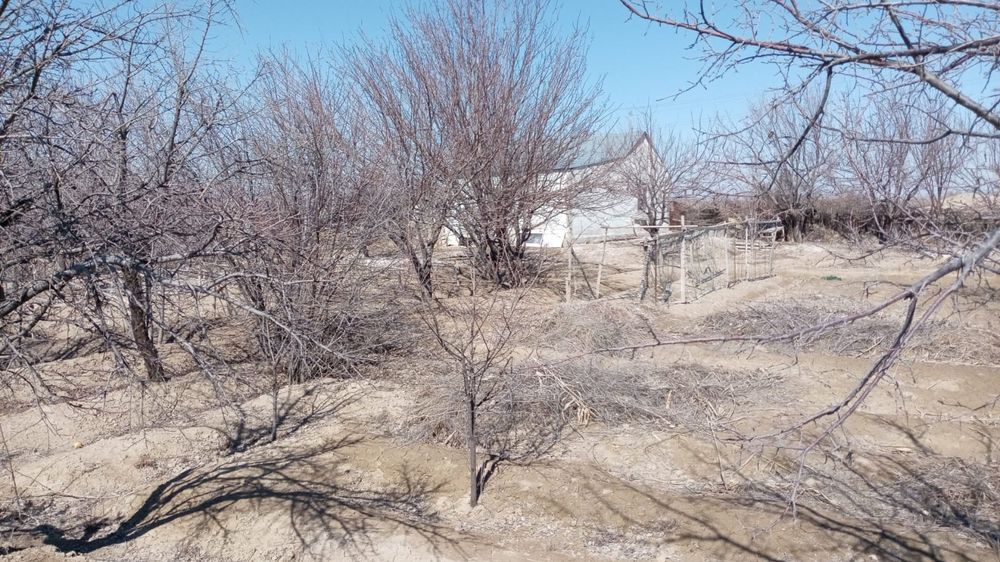 Саяжай Дача Зимний вариант