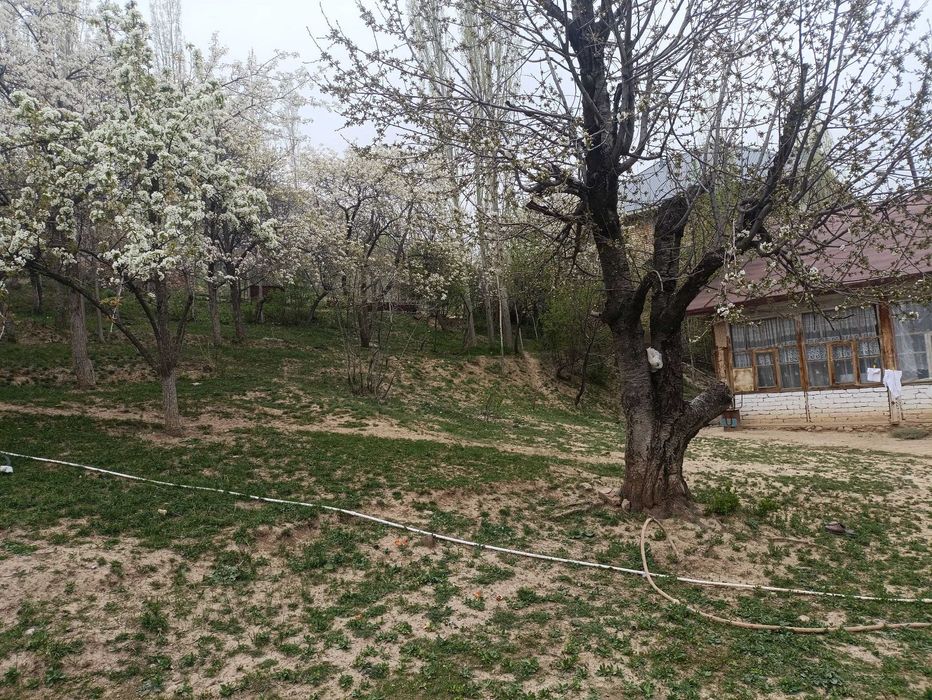 Дача на сельском участке