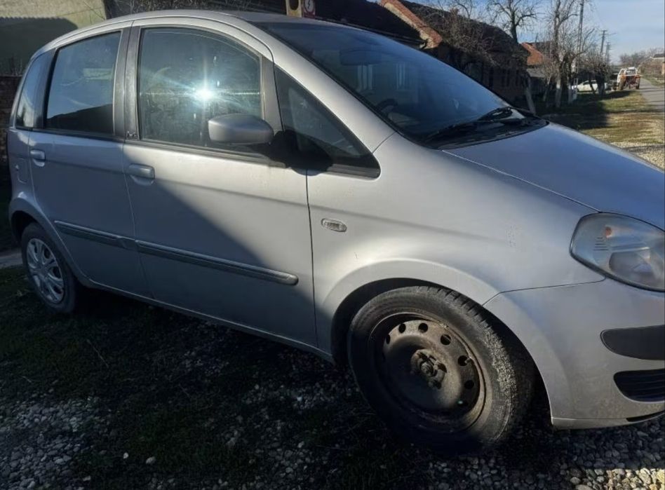 Lancia Musa , functionala