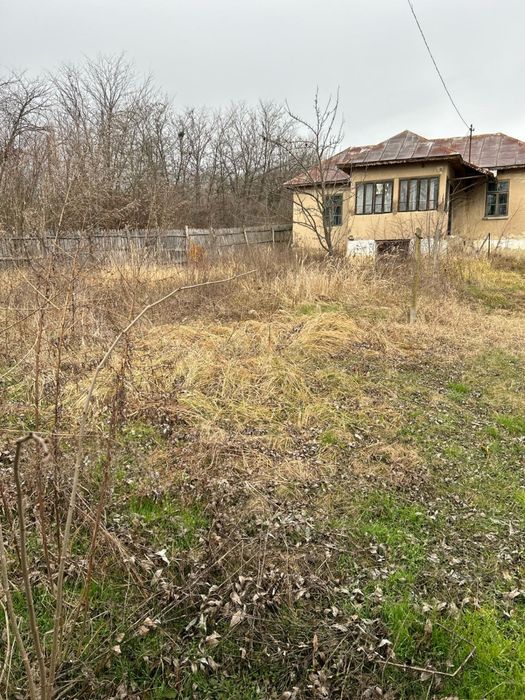 Casă cu 3000 mp teren și livadă Carpen Dolj (Acte la zi)