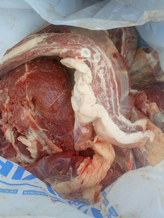 Конина Астана.Халял.ЭКО.