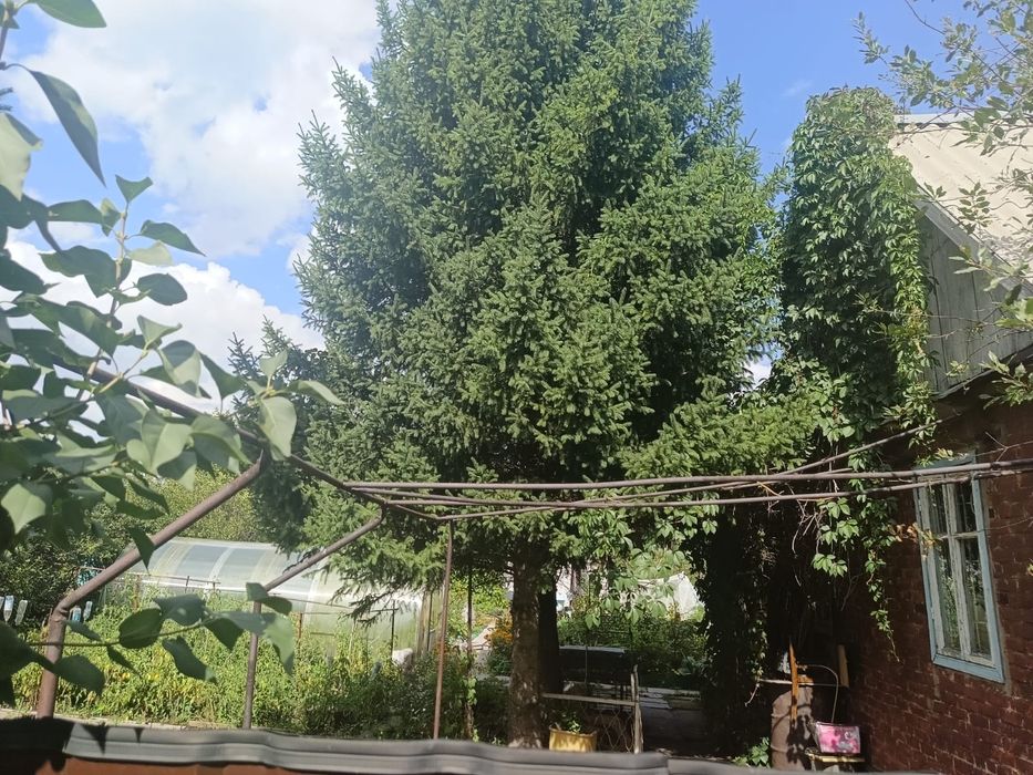 Продам дачу зимний вариант