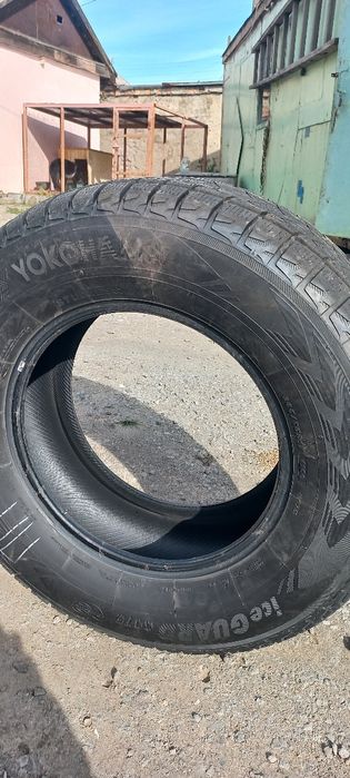 Покрышки зимние липучка
