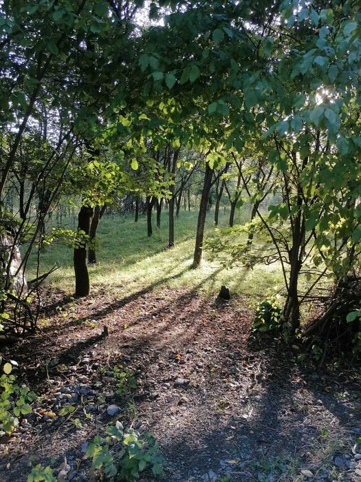 Gradina de vanzare
