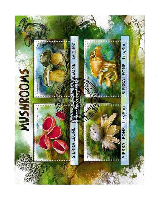 Super set de invatare a filateliei set colite tema ciuperci de padure ghebe manatarci bureti 25 lei colita 200 lei setul