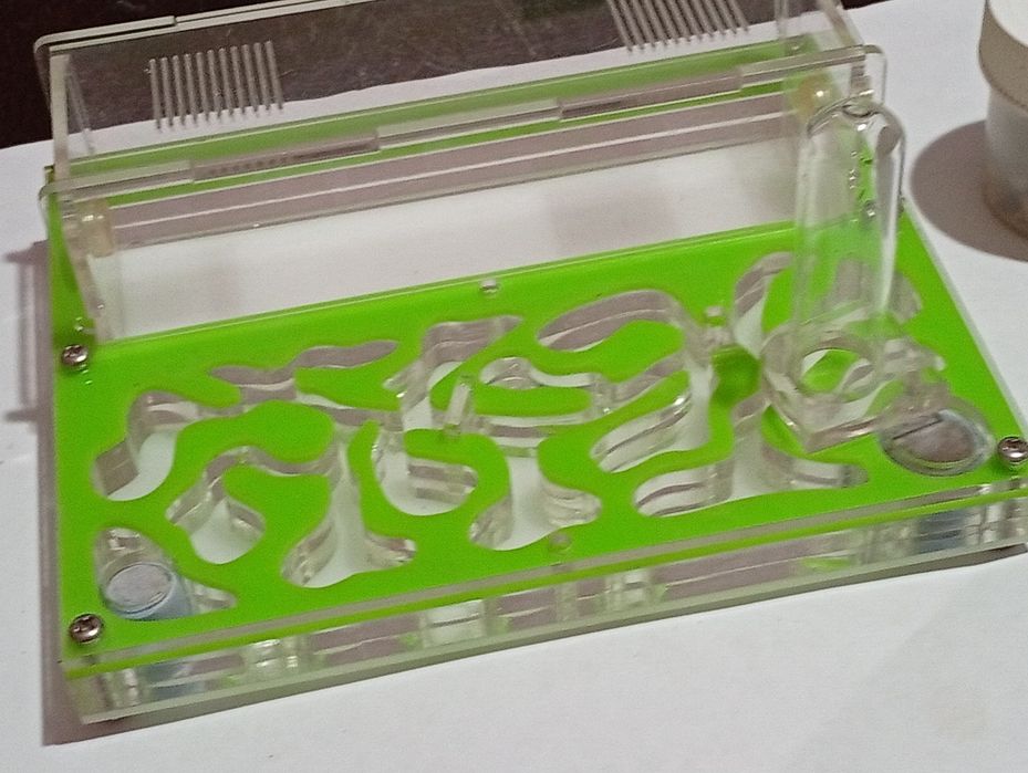 Муравьиная ферма для начинающих