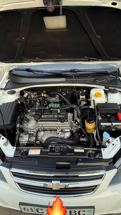 Jentra Gentra AT 2019