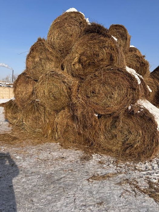 Сено зелёнка луговая. 300кг