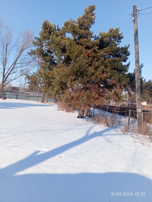 Срочно продам дачу с/оВеснянка 8соток