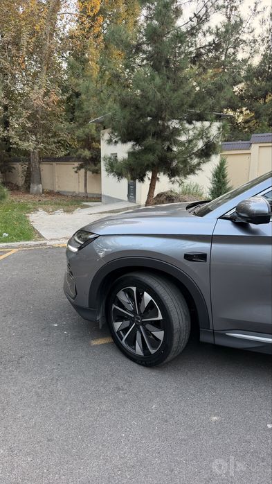 Byd chempion gibrid smart