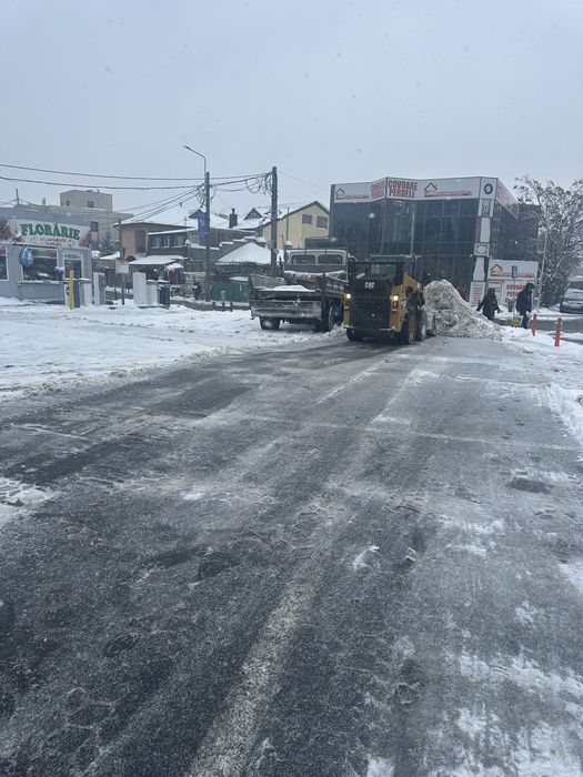 Inchiriere  bobcat pentru dezepezire