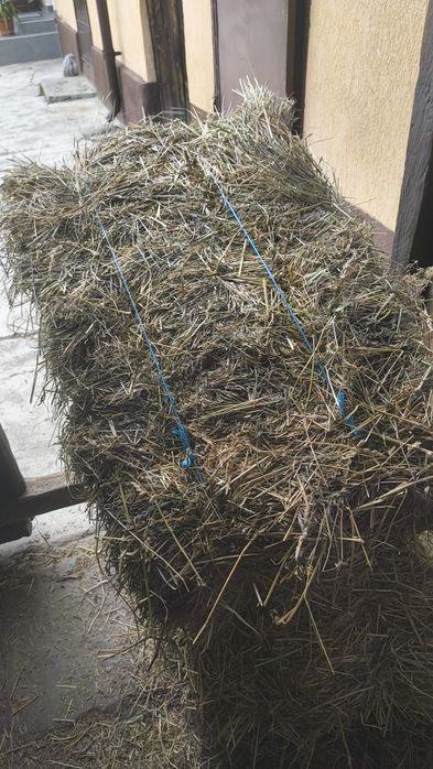 Vând baloți de lucernă și fan