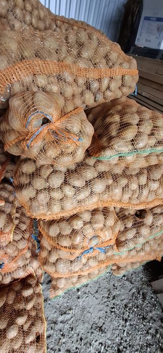 Cartofi pentru animale