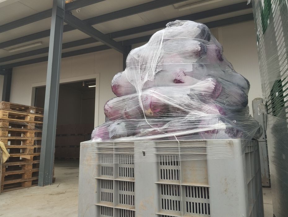 Продавам ЧЕРВЕНО ЗЕЛЕ на Едро.