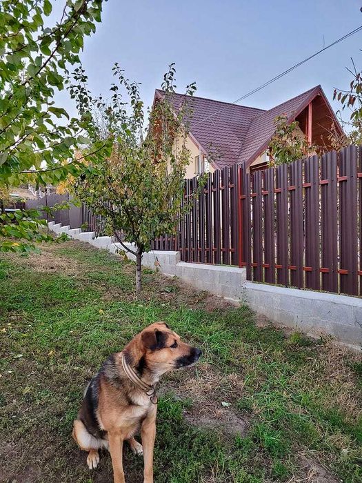 Garduri si porti stil jaluzea, sipca metalica, tabla cutata
