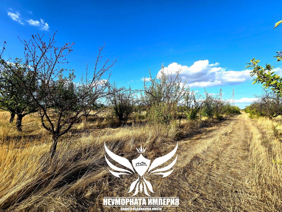 Продава се Парцел в с. Крумово, Област Пловдив - 8000 кв.м за 22 €/кв.м - Снимка #1