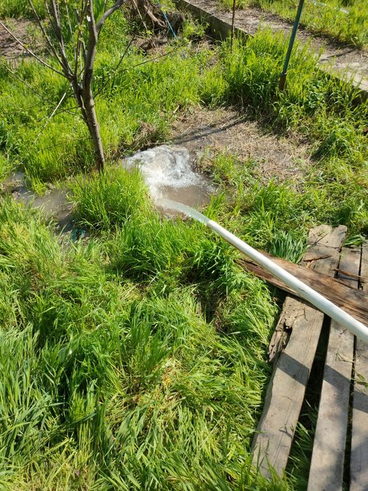 Suv chiqarish xizmati