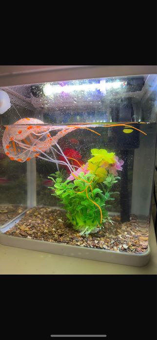 Продам аквариум с 5 рыбками