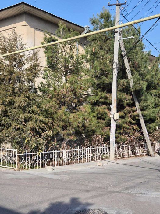 Продаю свой добротный дом, угловой на Бадамзаре