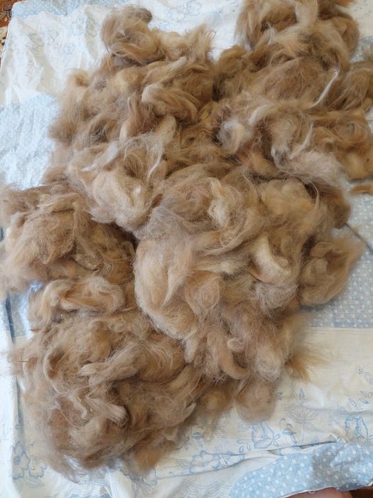 Носки из собачей шерсти