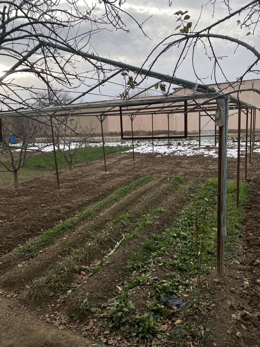 parnik turnasi .  parnik karkas 1.5 sutikka tahlangan