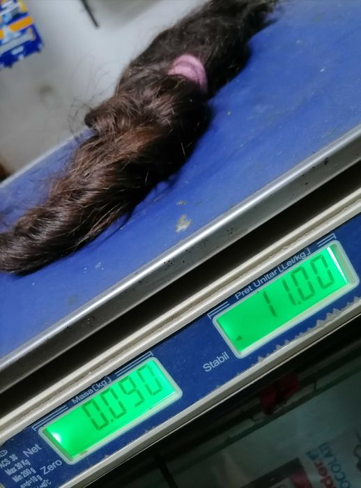 Coadă, păr natural