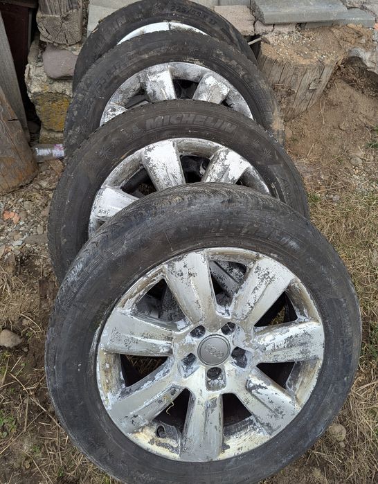 jente audi originale.