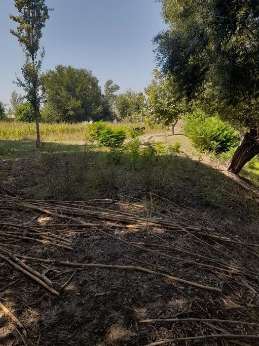 23 sõtix uy qura bõladi suv svet gaz bor