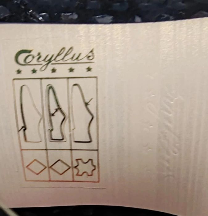 Pantofi piele naturală eleganți Coryllus
