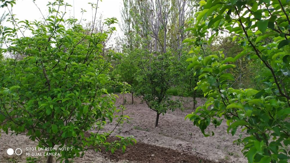 Ер участкаси сотилади