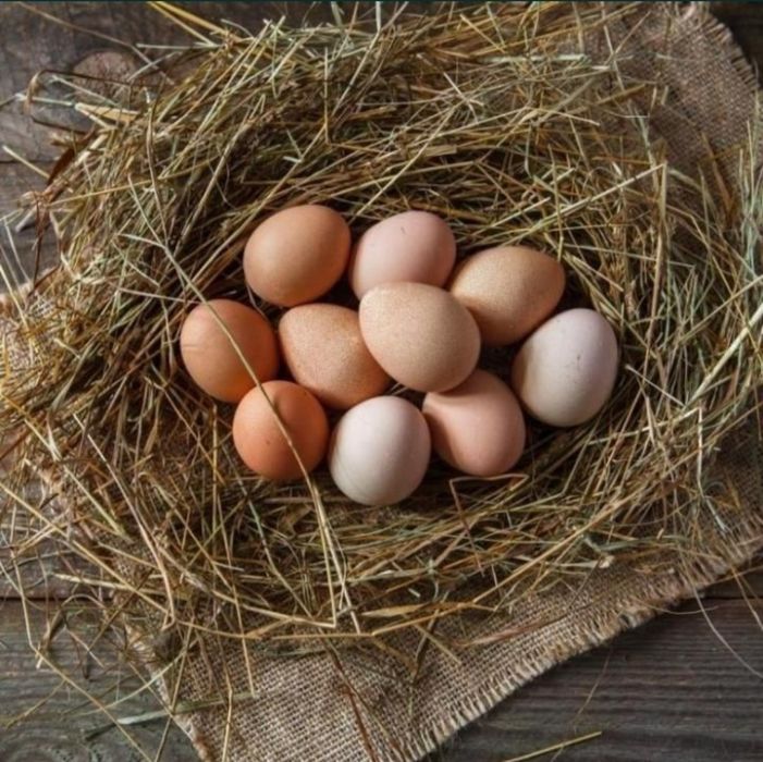 Яйцо куриное домашнее